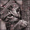 abysuvalo's Avatar