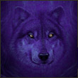 yviva's Avatar