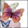 ocunivi's Avatar