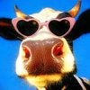 egyqisa's Avatar