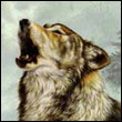 iburedep's Avatar