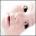 ydyrukod's Avatar